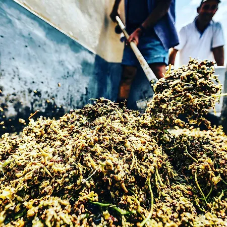 Arcana Santorini Villas, An Authentic Cycladic Experience 度假居 *