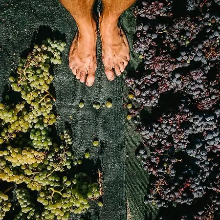 Arcana Santorini Villas, An Authentic Cycladic Experience 度假居 *