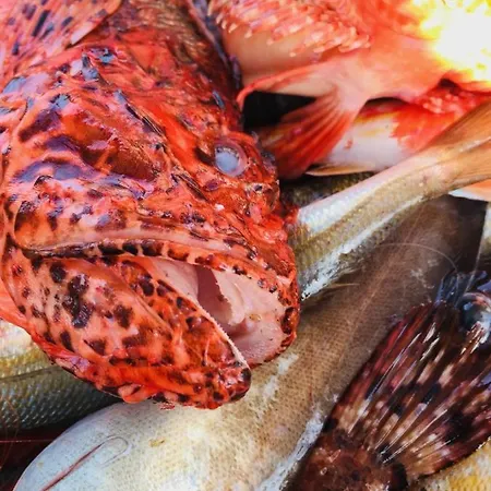 Nyaraló Arcana Santorini Villas, An Authentic Cycladic Experience Akrotírion