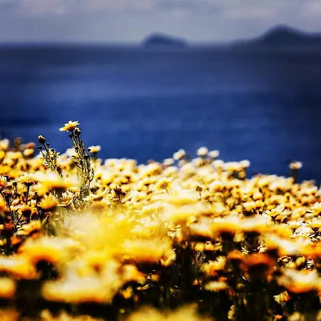 Arcana Santorini Villas, An Authentic Cycladic Experience