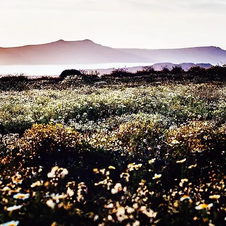 Nyaraló Arcana Santorini Villas, An Authentic Cycladic Experience *