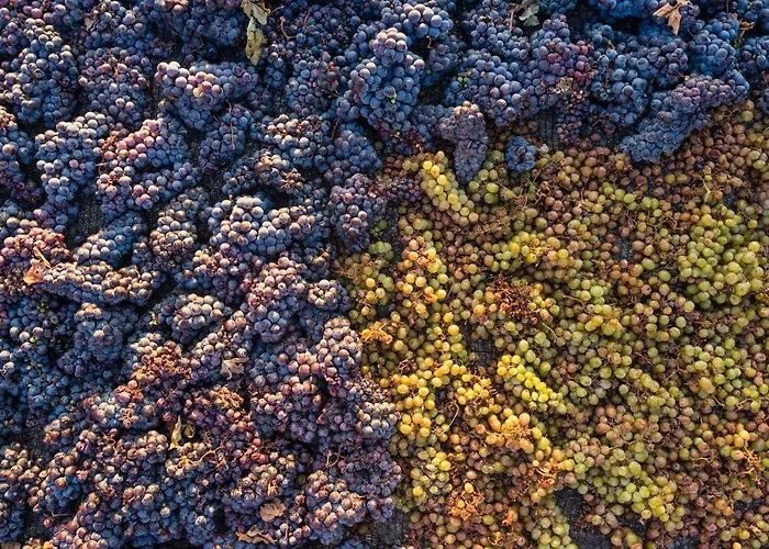 Arcana Santorini Villas, An Authentic Cycladic Experience Holiday home Akrotiri (Santorini)