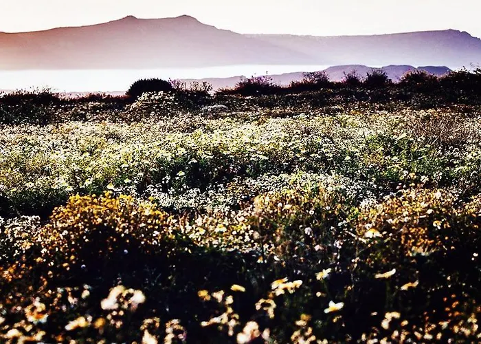 Holiday home Arcana Santorini Villas, An Authentic Cycladic Experience *