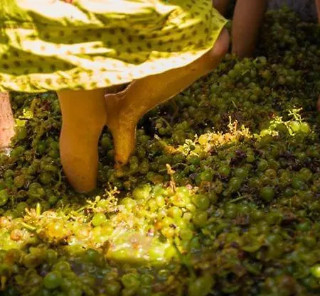 Дом отдыха Arcana Santorini Villas, An Authentic Cycladic Experience Акротири