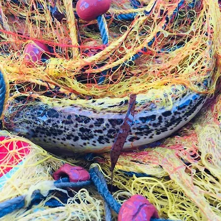 Дом отдыха Arcana Santorini Villas, An Authentic Cycladic Experience *