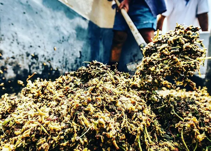 Arcana Santorini Villas, An Authentic Cycladic Experience Semesterbostad *