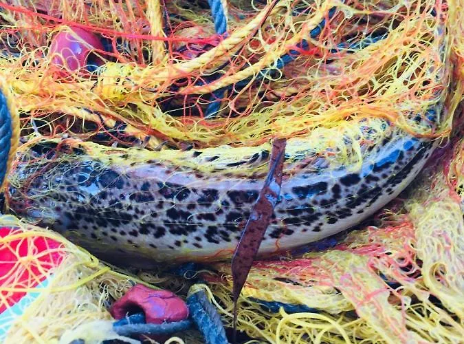 Semesterbostad Arcana Santorini Villas, An Authentic Cycladic Experience *