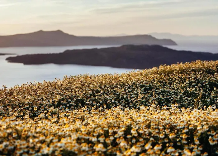 Arcana Santorini Villas, An Authentic Cycladic Experience * Akrotírion