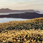 Arcana Santorini Villas, An Authentic Cycladic Experience * Akrotírion