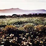 Semesterbostad Arcana Santorini Villas, An Authentic Cycladic Experience *