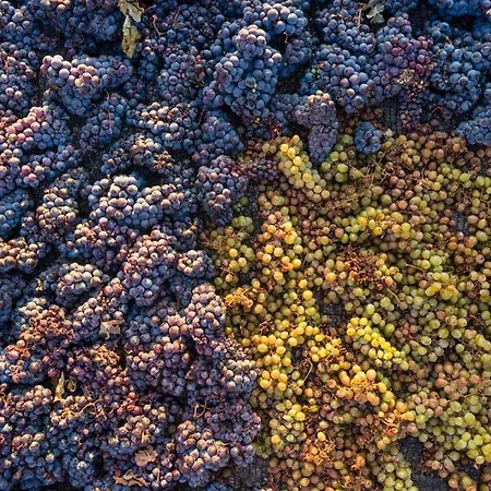 Arcana Santorini Villas, An Authentic Cycladic Experience Prázdninový dům Akrotírion