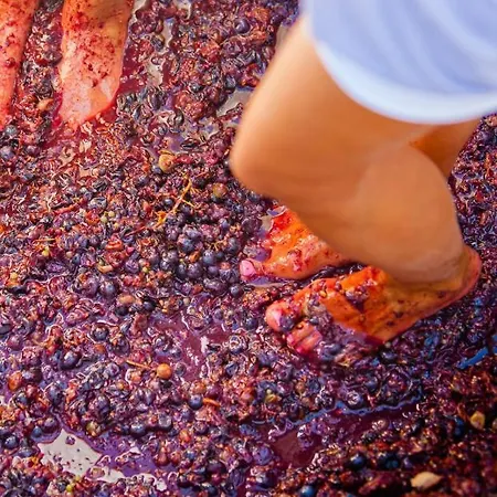 Arcana Santorini Villas, An Authentic Cycladic Experience Prázdninový dům *