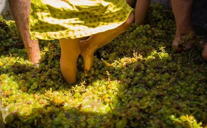 펜션 Arcana Santorini Villas, An Authentic Cycladic Experience Akrotírion