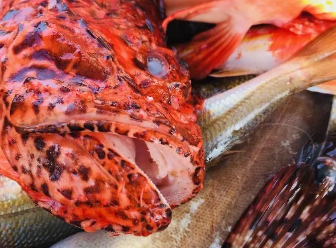 펜션 Arcana Santorini Villas, An Authentic Cycladic Experience Akrotírion