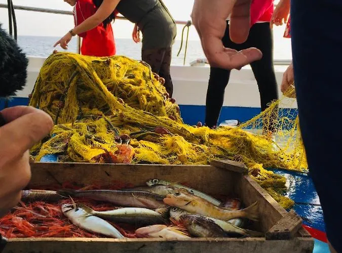 펜션 Arcana Santorini Villas, An Authentic Cycladic Experience