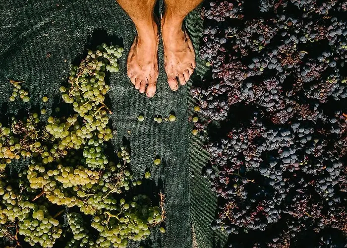 Arcana Santorini Villas, An Authentic Cycladic Experience 펜션 *