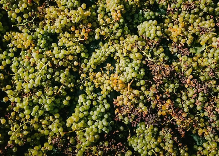 Arcana Santorini Villas, An Authentic Cycladic Experience 펜션 Akrotírion