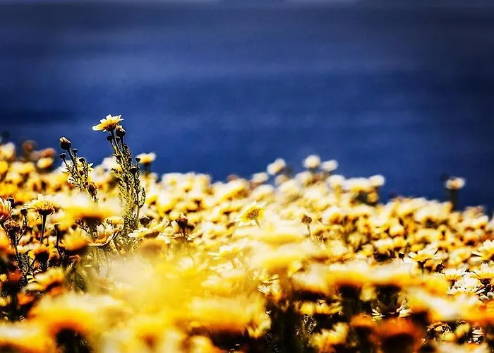 Arcana Santorini Villas, An Authentic Cycladic Experience