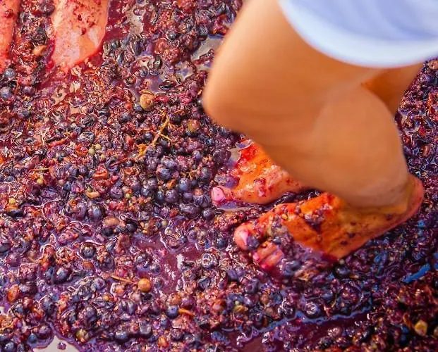 Arcana Santorini Villas, An Authentic Cycladic Experience 펜션 *